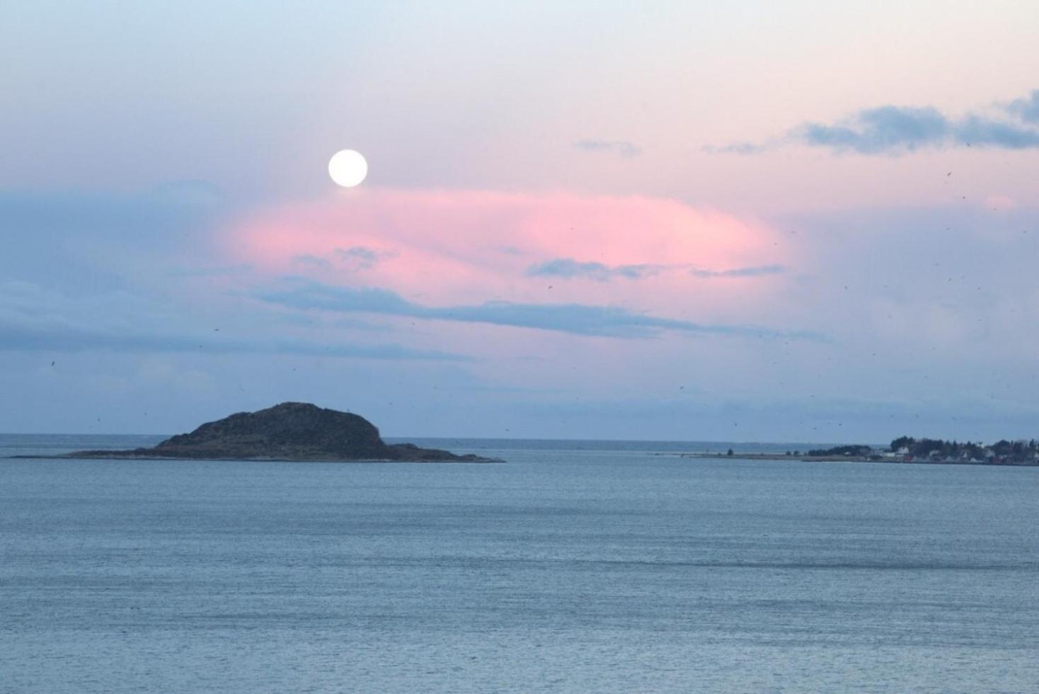 Apartment Close To The City Center With Sea View Ålesund Buitenkant foto